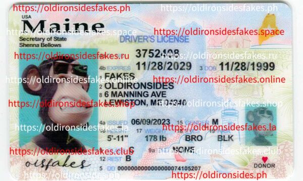 Maine Driver License(New ME)