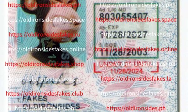 Mississippi Driver License(MS U21)