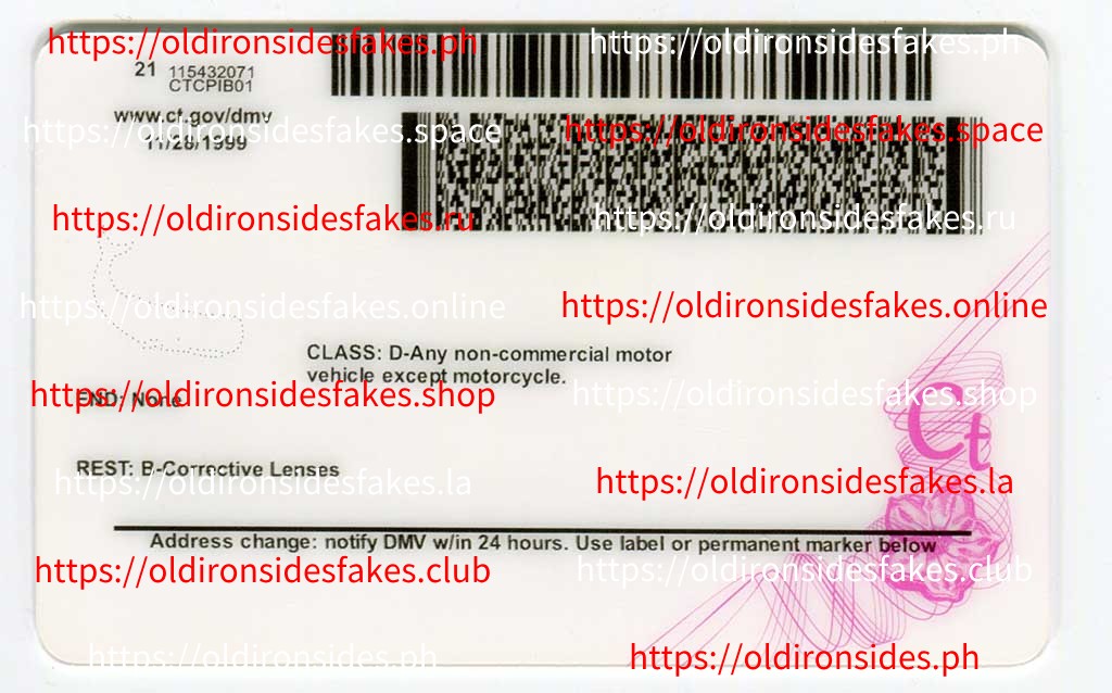 Connecticut Driver License(New CT) - Image 2