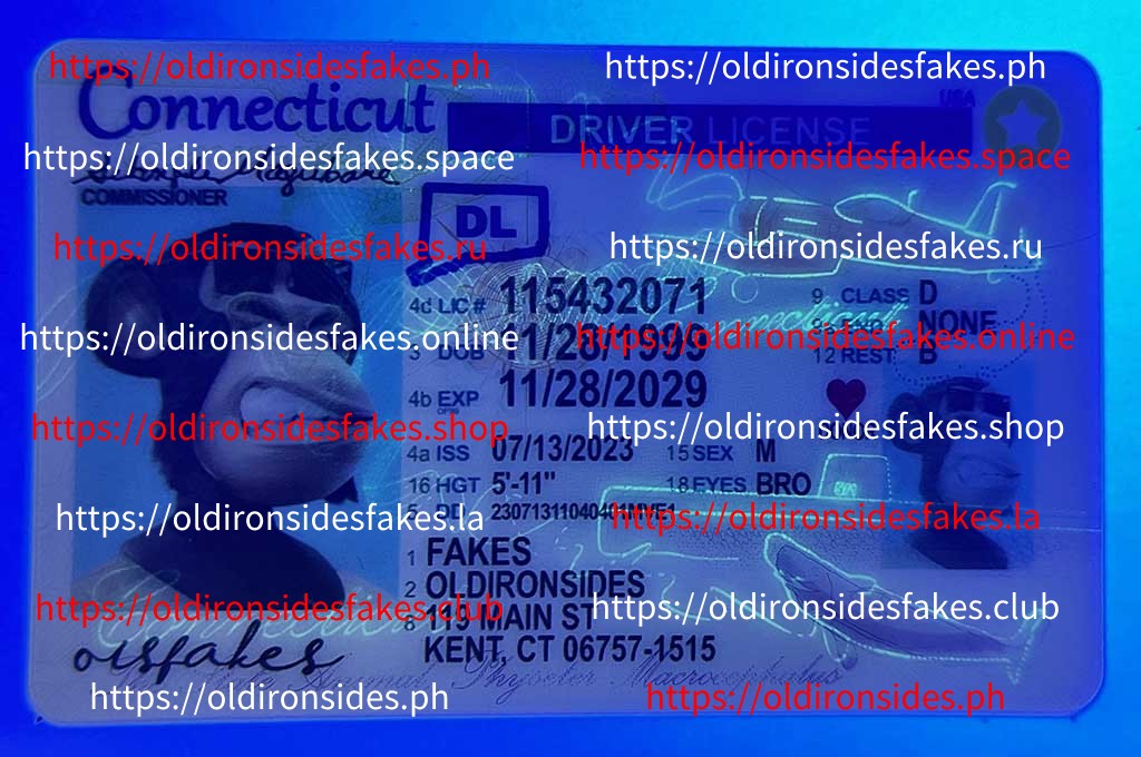 Connecticut Driver License(New CT) - Image 3