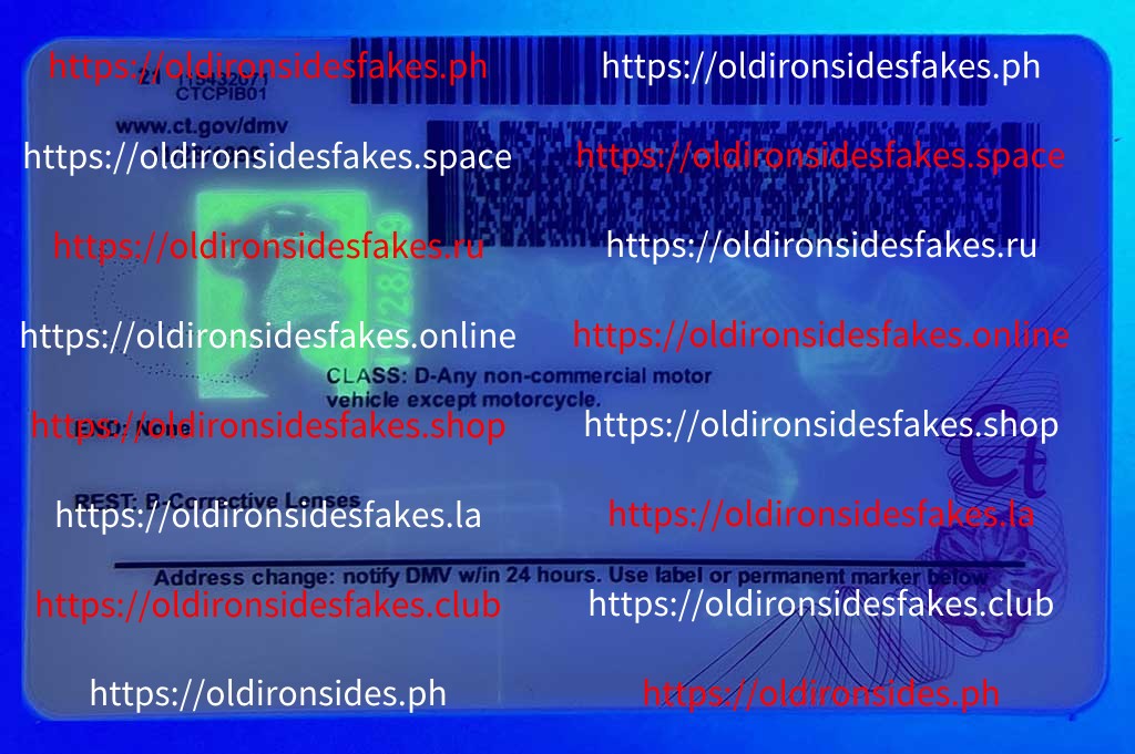 Connecticut Driver License(New CT) - Image 4