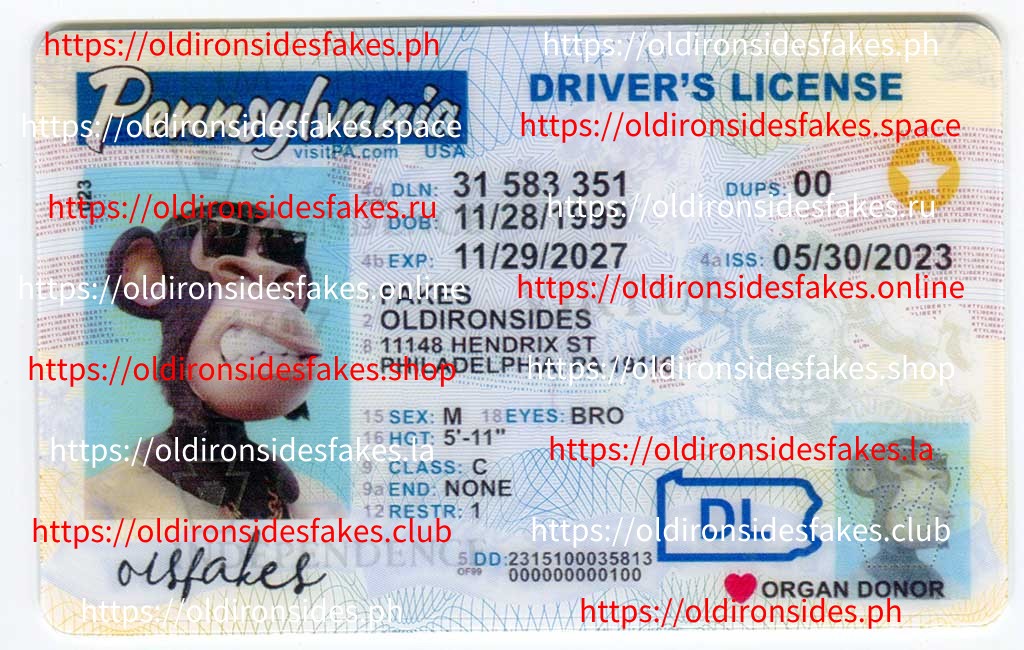 Pennsylvania Driver License(New PA O21)