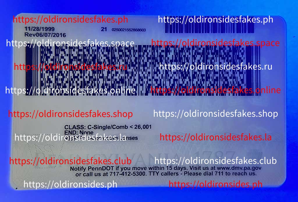 Pennsylvania Driver License(New PA O21) - Image 4