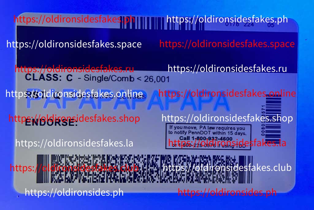 Pennsylvania Driver License(Old PA) - Image 4