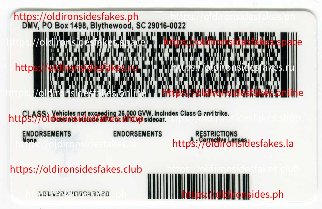 South Carolina Driver License(Old SC) - Image 2