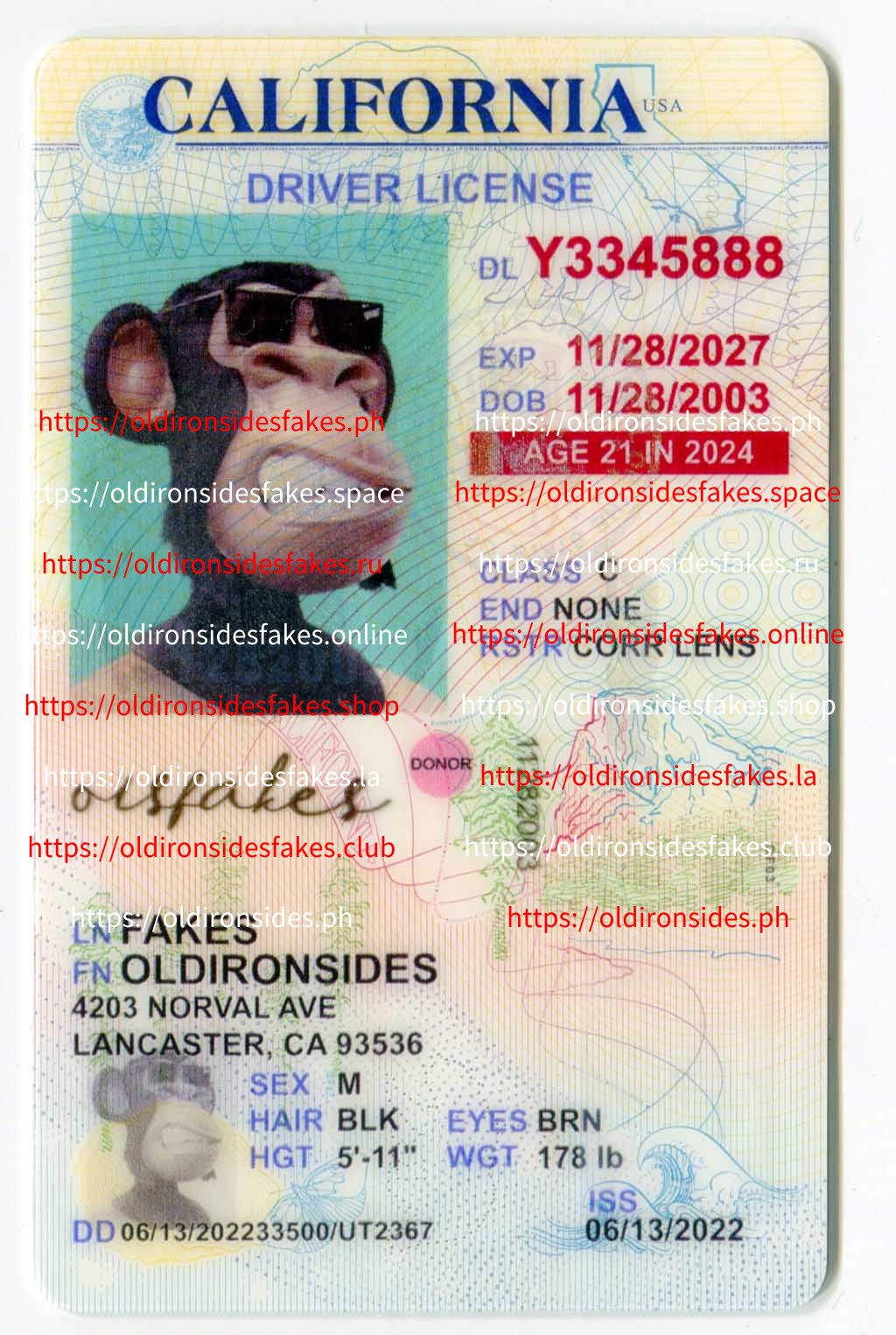 California Driver License(Old CA U21)