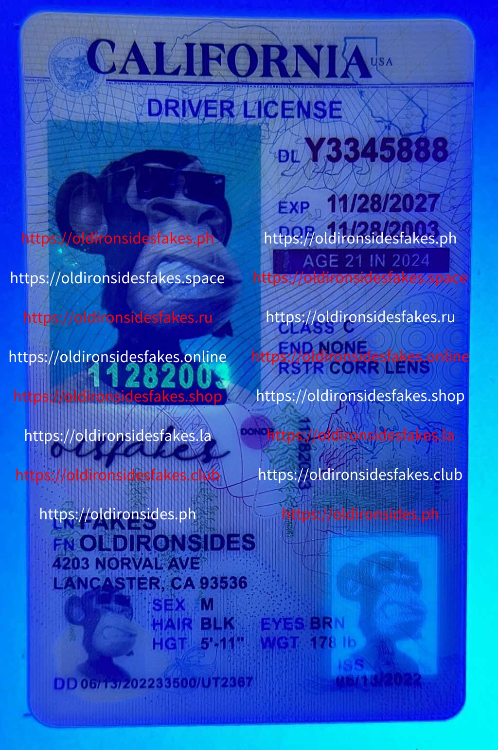 California Driver License(Old CA U21) - Image 3