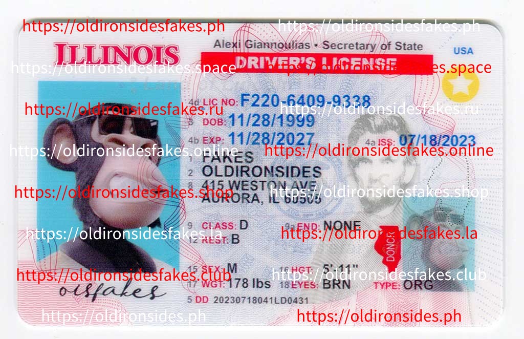 Illinois Driver License(New IL)