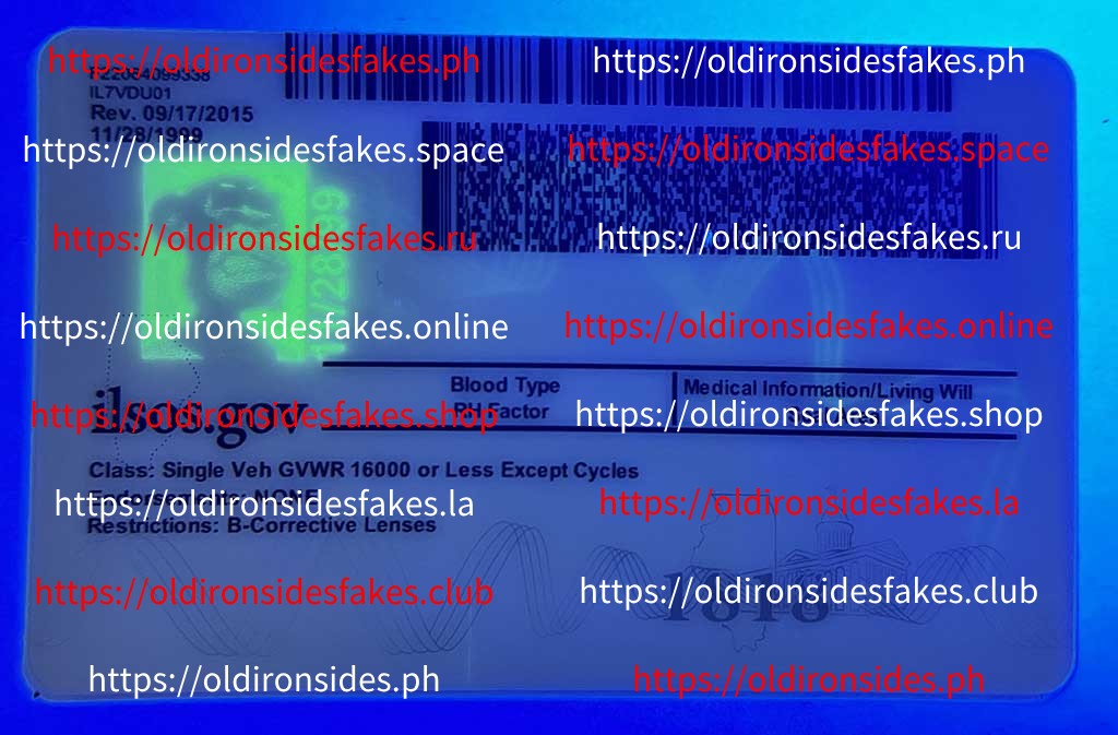 Illinois Driver License(New IL) - Image 4