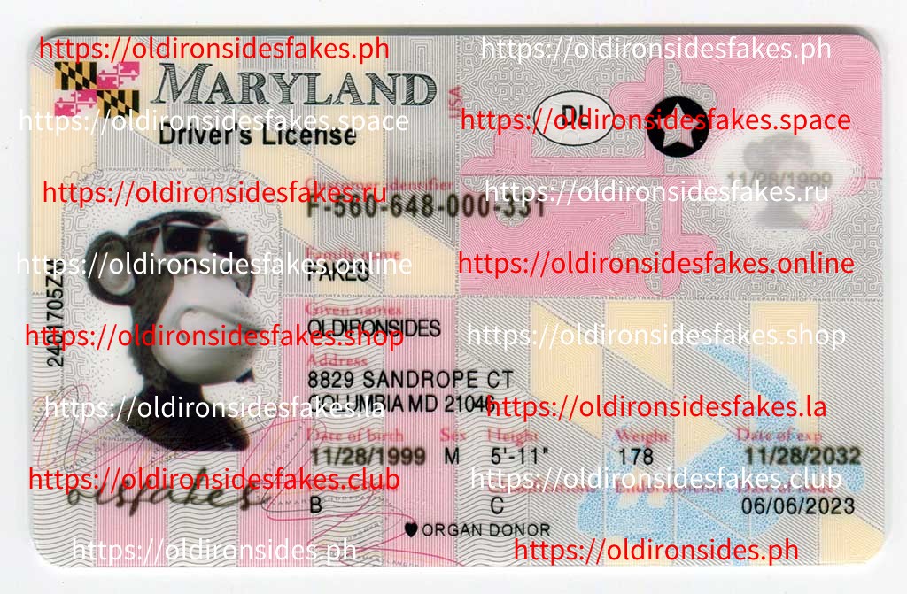 Maryland Driver License(New MD)