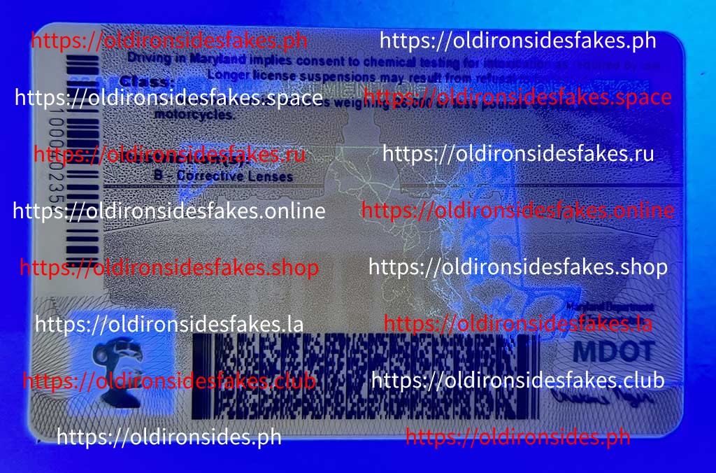 Maryland Driver License(New MD) - Image 4