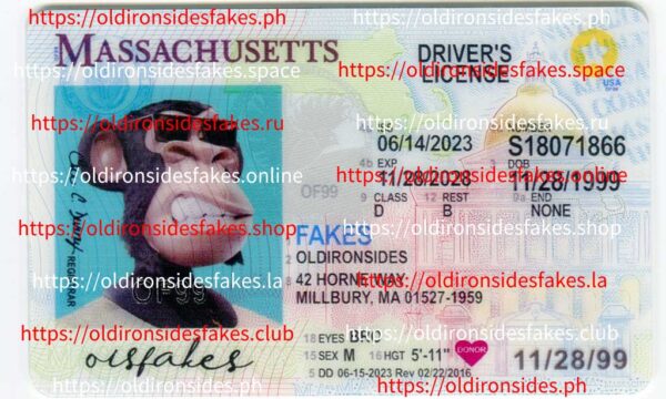Massachusetts Driver License(New MA O21)