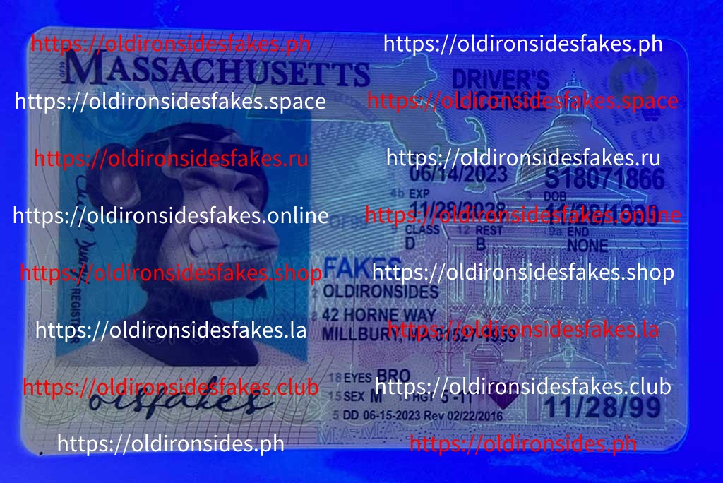 Massachusetts Driver License(New MA O21) - Image 3