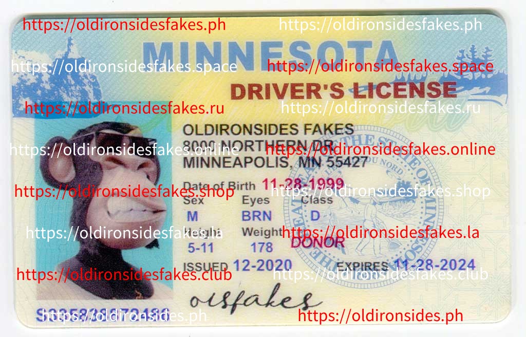 Minnesota Driver License(Old MN)