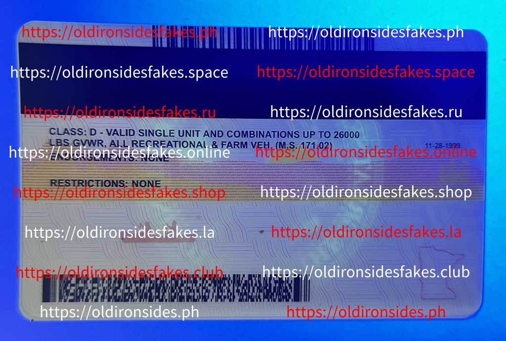 Minnesota Driver License(Old MN) - Image 4