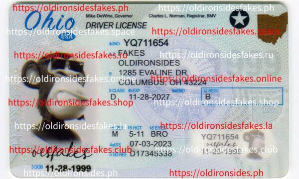 Ohio Driver License(New OH)
