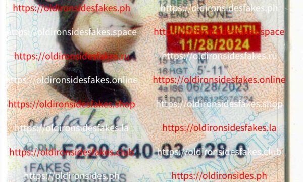 Florida Driver License(New FL U21 DRIVER V2)