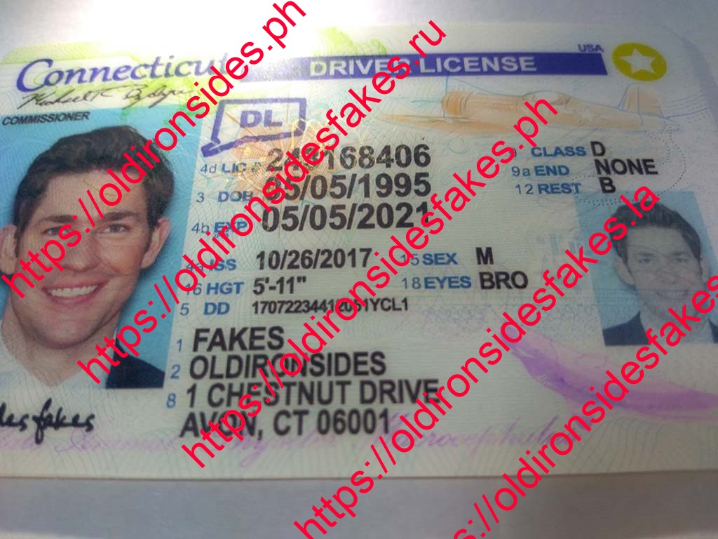 Connecticut Driver License(New CT) - Image 5
