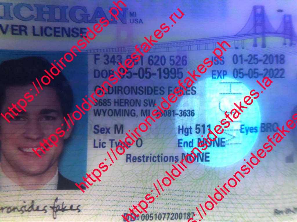 Michigan Driver License(MI) - Image 5